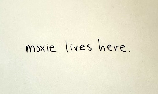 Moxie Lives here.